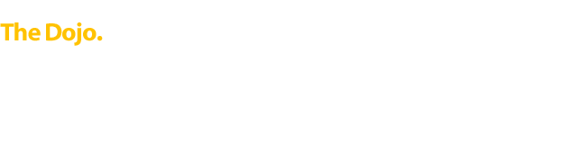 Introducing the Dojo