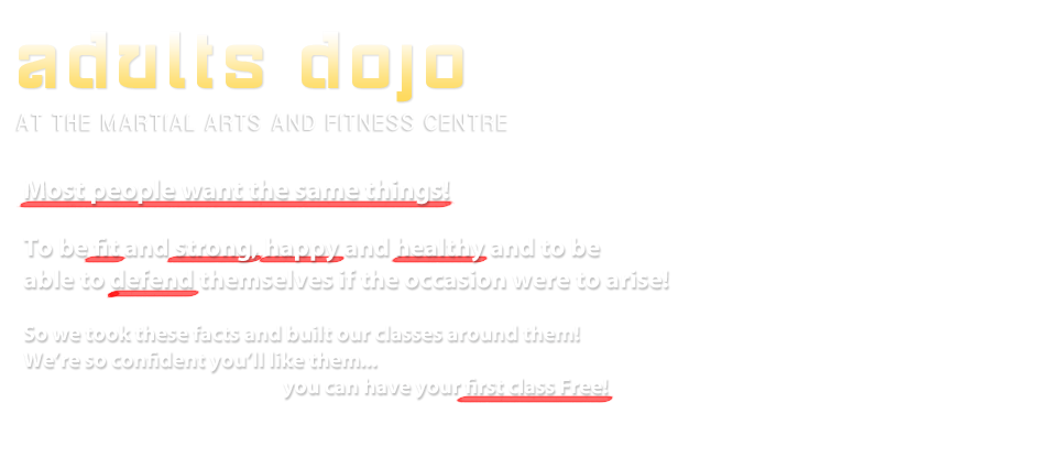 Adults Ju-Jitsu Classes | The Dojo Martial Arts Centre
